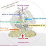 Le Bracelet chemin de vie permet d’être guidé tout au long de sa vie. Il vous aide à dénouer vos blocages inconscients et vos nœuds karmiques. Il agit en profondeur dans la guérison de vos blessures et vous aide à vivre pleinement votre incarnation. Le bracelet chemin de vie est personnalisé en fonction de vos prénoms, noms de famille et votre date de naissance. Il est constitué de 8 pierres différentes voir descriptif détaillé 