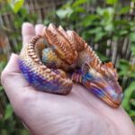 Dragon portant le prénom de Aurel qui est relié à l'or et l'aube . Connecté à la terre des grands espaces aussi bien terrestre qu'astral, ce dragon vous aidera dans vos méditations, ce dragon vous aidera dans vos soins, connexion à notre planète. Mai aussi à vous sublimer !