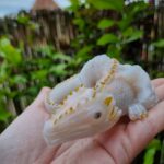 Dragon portant le prénom de Marali, qui signifie oiseau chanteur en sanskrit . Connecté à la sagesse de notre planète. creation vibratoire unique fait main