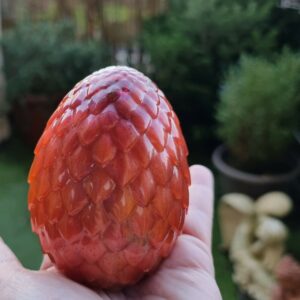 oeuf dragon rouge commande pour Mr Beauvais