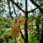 fée création artisanale personnalisée